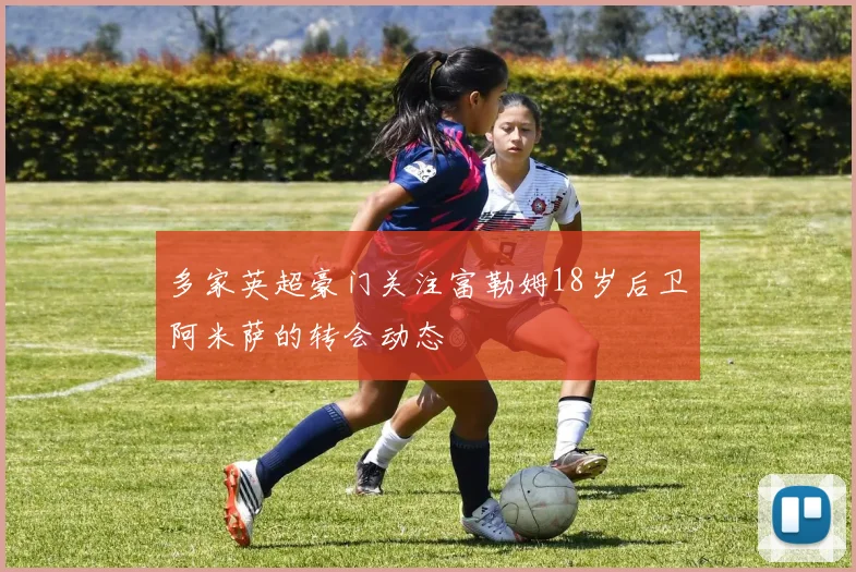多家英超豪门关注富勒姆18岁后卫阿米萨的转会动态